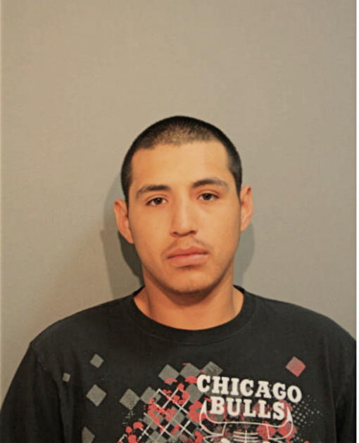 BRAYAN NAPOLES, Cook County, Illinois