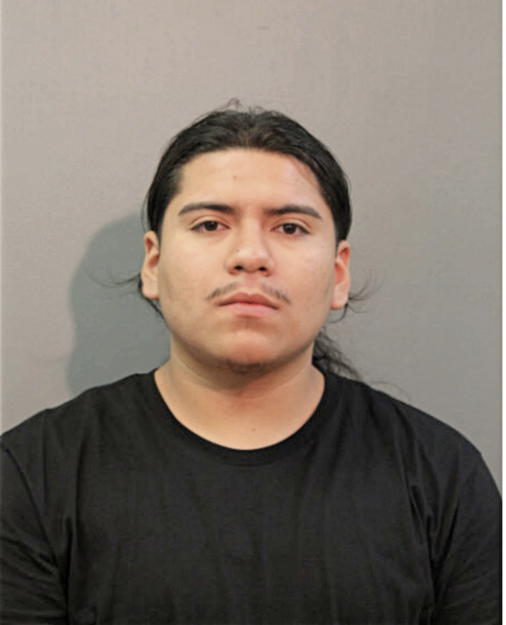 ALFREDO PARADES, Cook County, Illinois