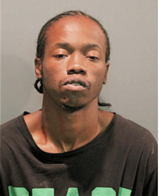 MICHAEL P ROBINSON, Cook County, Illinois