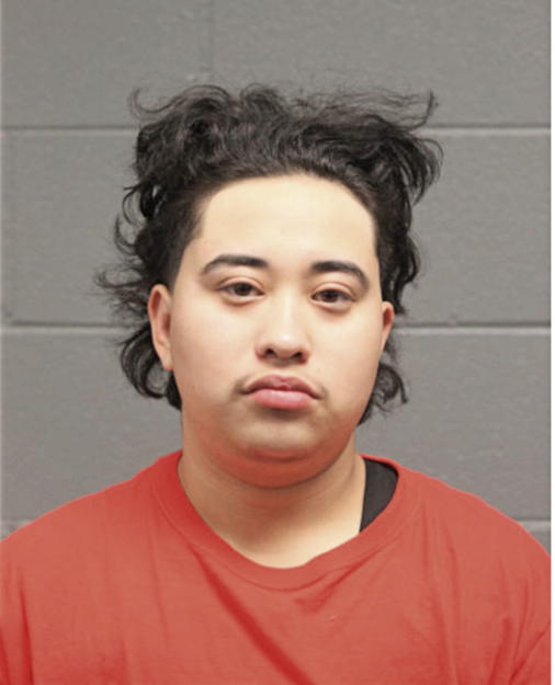 MONZERATTE RODRIGUEZ, Cook County, Illinois
