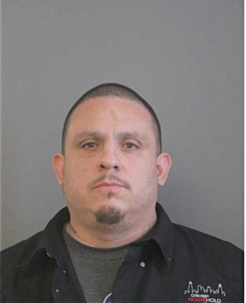 MICHAEL L SARTAN, Cook County, Illinois