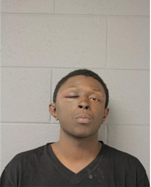 COREY SCHAEFFER, Cook County, Illinois