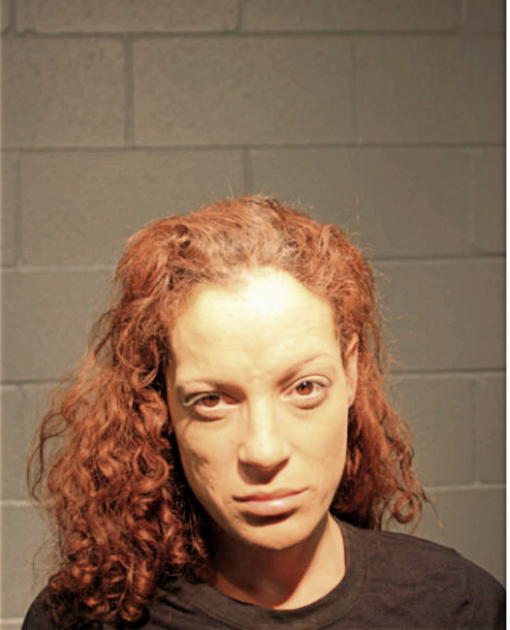 RACHEL M SELLERS, Cook County, Illinois