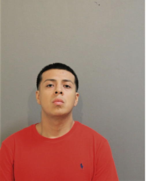 FABIAN SIERRA, Cook County, Illinois