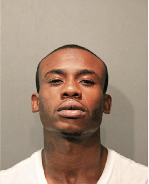 MARKUS M STEWART-ROBERTS, Cook County, Illinois