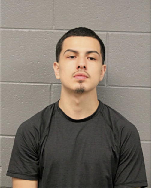 DANIEL A VILLAGOMEZ, Cook County, Illinois
