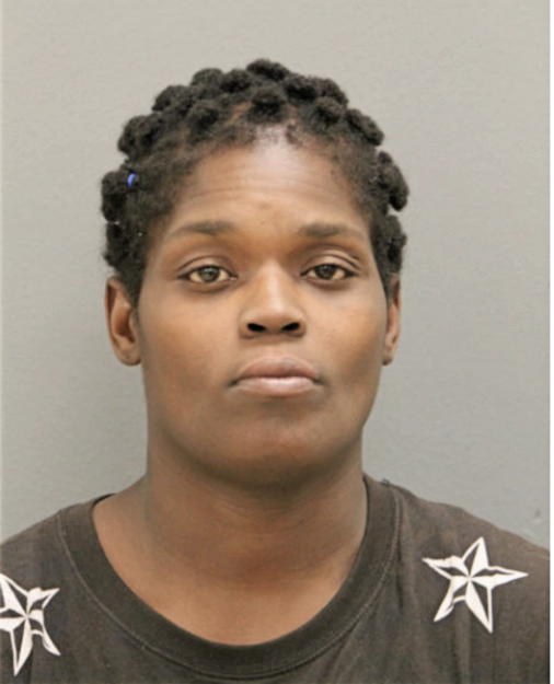 SALEEMA AMES, Cook County, Illinois