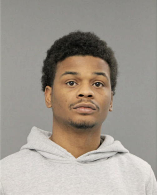 BRIAN K ANDERSON, Cook County, Illinois