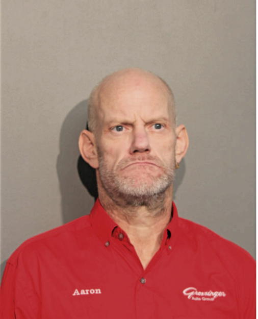 AARON BAIER, Cook County, Illinois