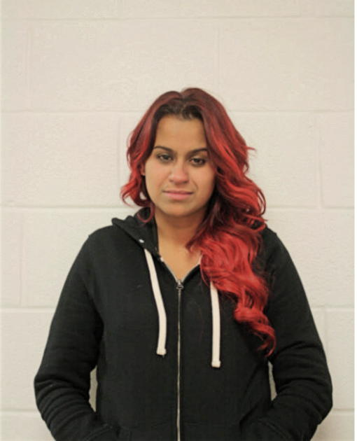 ELENA D DIAZ, Cook County, Illinois