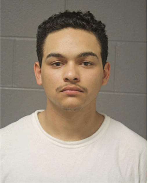 ALEJANDRO E GOVEA, Cook County, Illinois