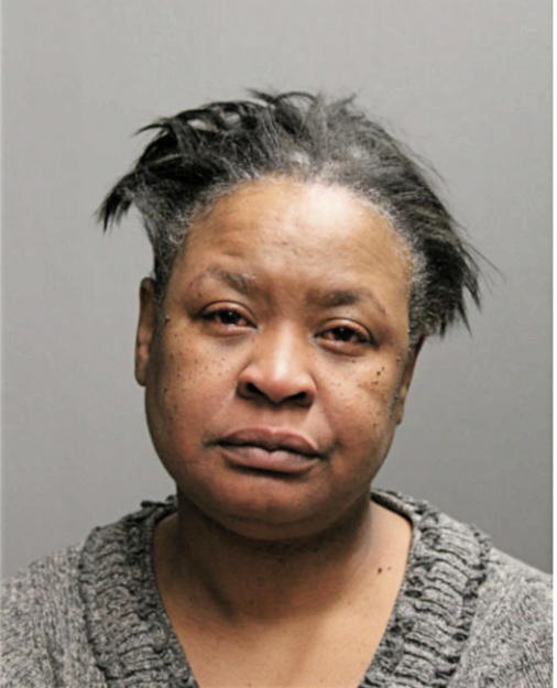 ADRIANNE ELAINE HYLER-MOORE, Cook County, Illinois