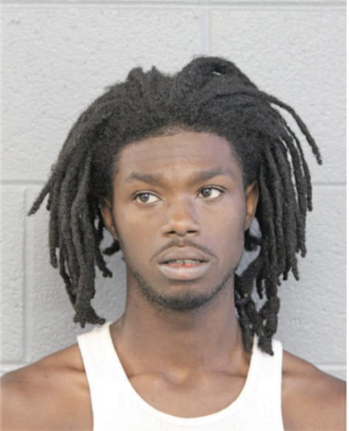 TERRY C IVORY, Cook County, Illinois