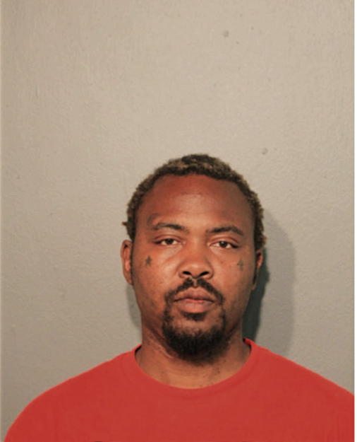 TIMOTHY L JOHNSON, Cook County, Illinois