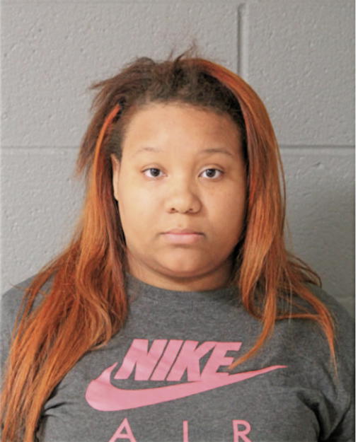 DANIELLE M LEE, Cook County, Illinois