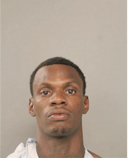 TIMOTHY T MCCLINTON, Cook County, Illinois