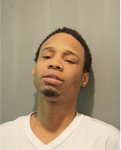 KEVIN A MITCHELL, Cook County, Illinois