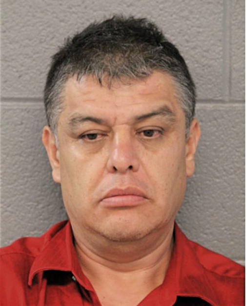 NOEL R MORALES, Cook County, Illinois
