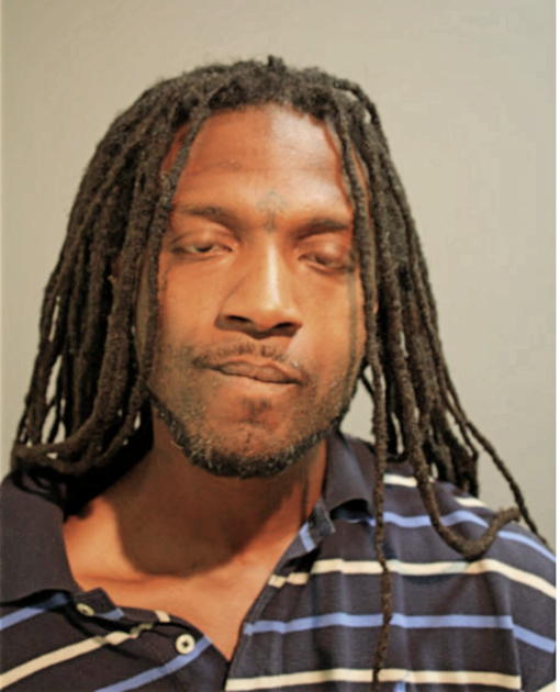 MICHAEL A NELSON, Cook County, Illinois