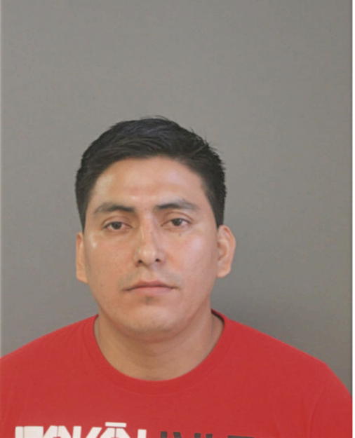 LUIS F NIVELO, Cook County, Illinois