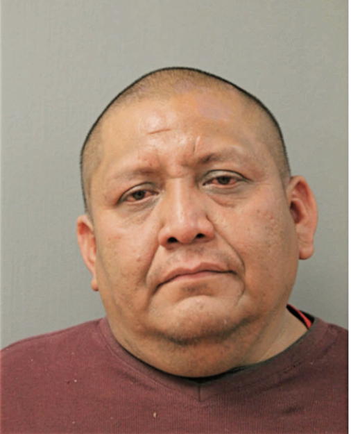 RICARDO PATT, Cook County, Illinois