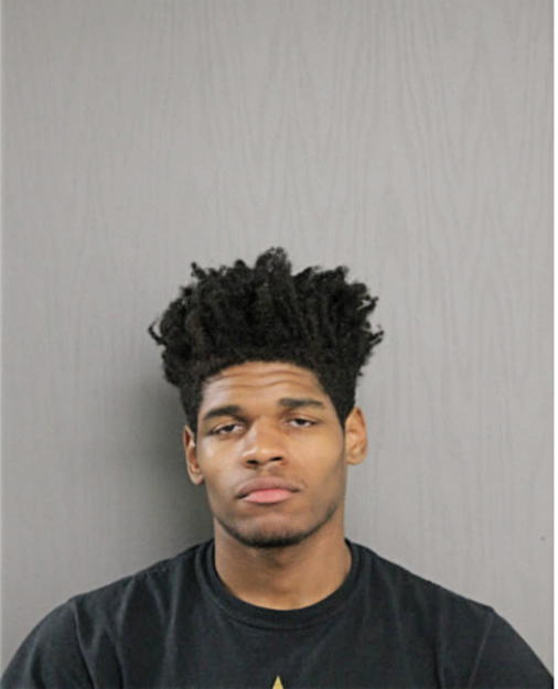 JAMES L PATTERSON, Cook County, Illinois