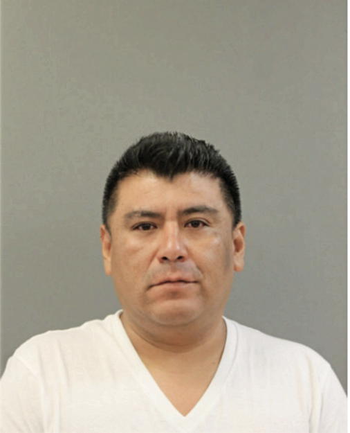 JOSE L PAVON, Cook County, Illinois