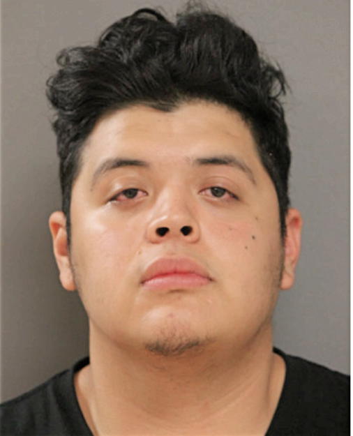 JESUS I PELAEZ DIAZ, Cook County, Illinois