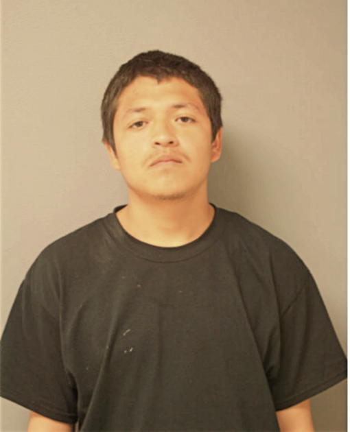 JOSE D PERDOMO, Cook County, Illinois