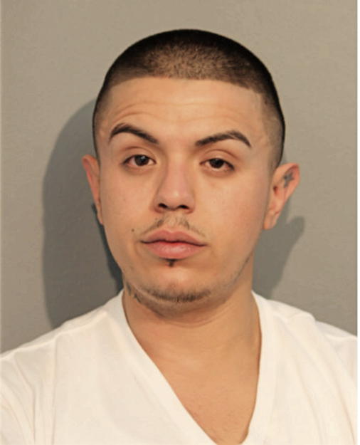 MICHAEL R SANTIAGO, Cook County, Illinois