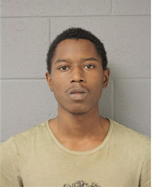 TERRENCE M STEVENSON, Cook County, Illinois