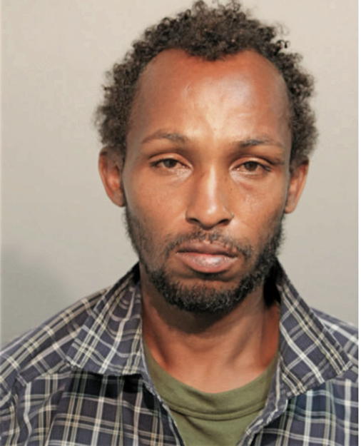 SAID A ABDI, Cook County, Illinois