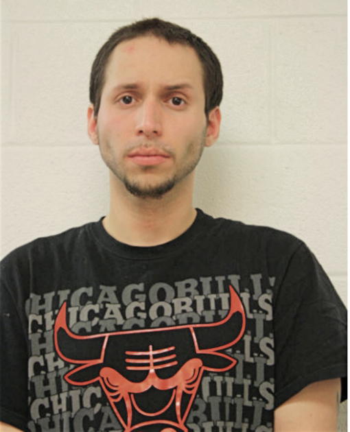 RAUL C ANDRADE, Cook County, Illinois
