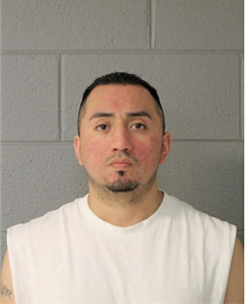 MARCO A ARROYO, Cook County, Illinois