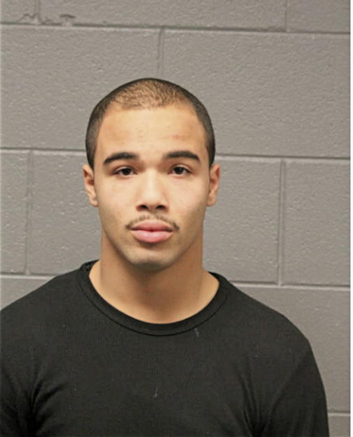 FRANKLIN A BREWER, Cook County, Illinois
