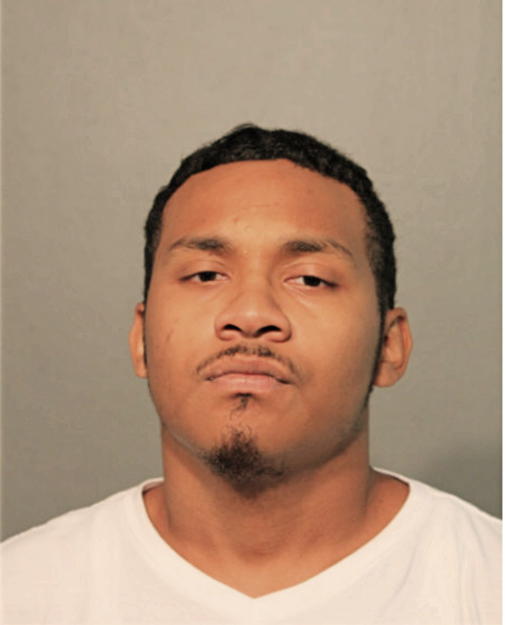 ANDREW L BROWN, Cook County, Illinois