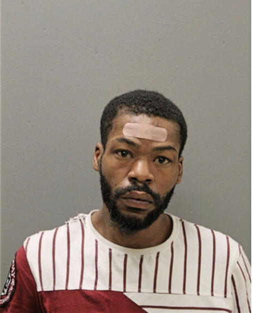 TRISTEN L CAMERON, Cook County, Illinois