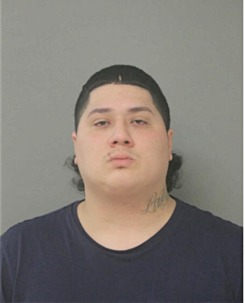 JOSE D CASTILLO, Cook County, Illinois