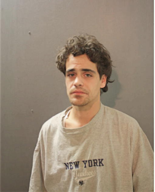 RYAN E DOBSON, Cook County, Illinois