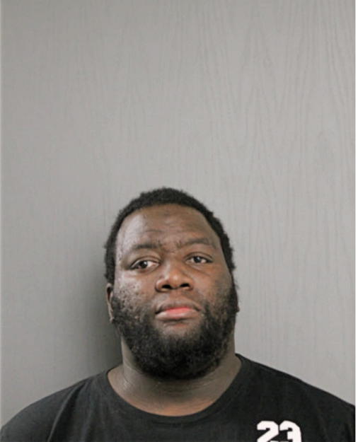 COURTNEY J ERVING, Cook County, Illinois