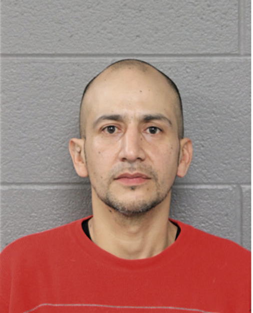 JUAN R GARCIA, Cook County, Illinois