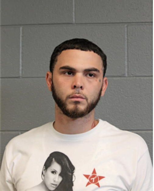 ANTHONY A GONZALEZ, Cook County, Illinois