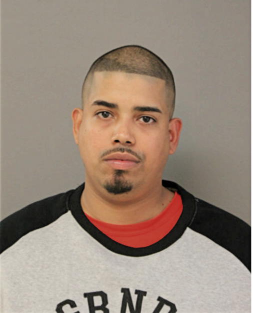 CHRISTIAN T GONZALEZ, Cook County, Illinois