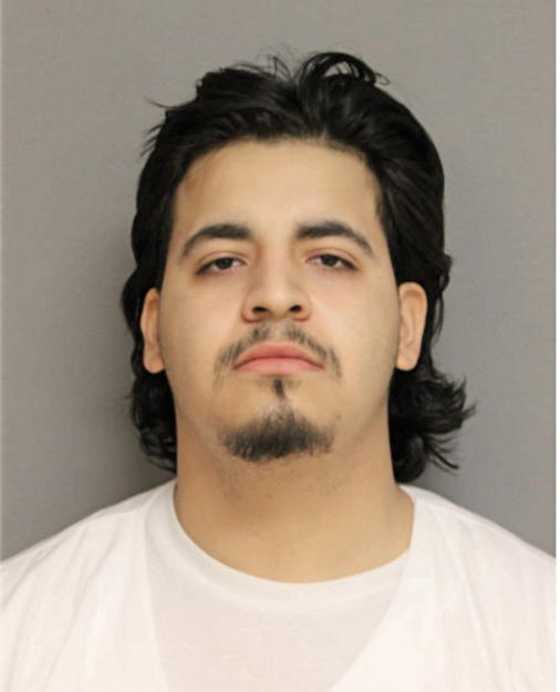 JOEL GONZALEZ, Cook County, Illinois