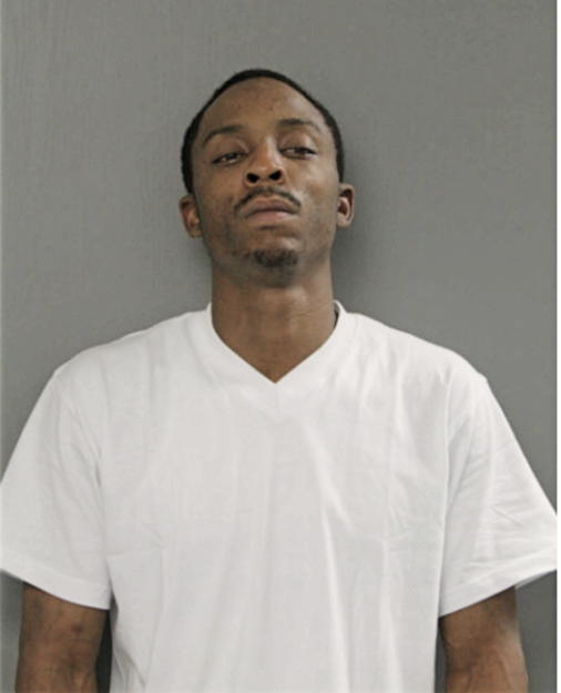JAMES L HATCHETT, Cook County, Illinois