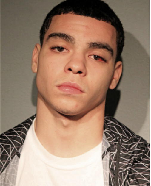 KENNETH E HINES, Cook County, Illinois