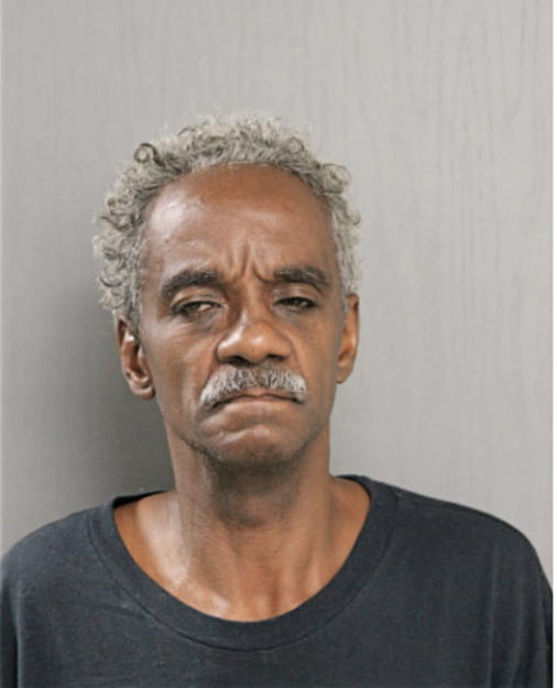 ANDRE E HOLMES, Cook County, Illinois