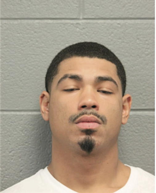 WILLIAM J JACKSON, Cook County, Illinois