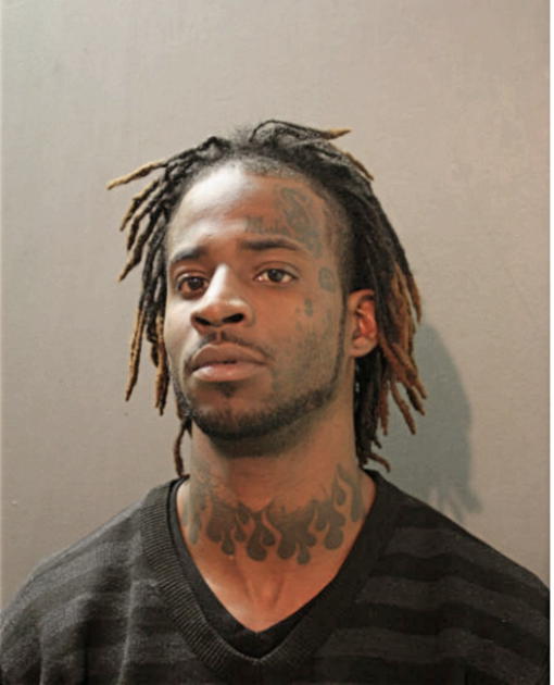 BRANDON L JOHNSON, Cook County, Illinois