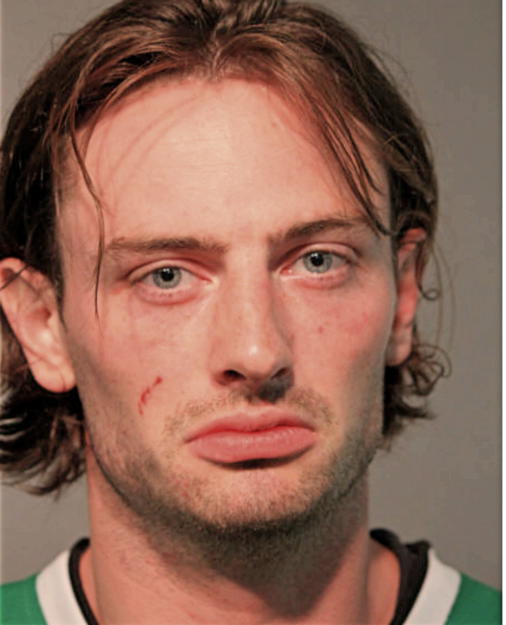 COLEMAN J MCDONAGH, Cook County, Illinois